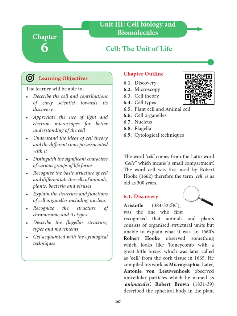 Tamilnadu Board Class 11 Botany Chapter 6 | PDF | Eukaryotes | Microscope