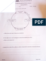 Bio Revisionsheet