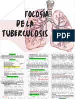 Tuberculosis 1
