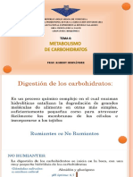 Metabolismo de Carbohidratos 2022