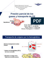 Presión de Los Gases y Transporte de O2 - Seminario - Grupo 04 - Sección 04-1