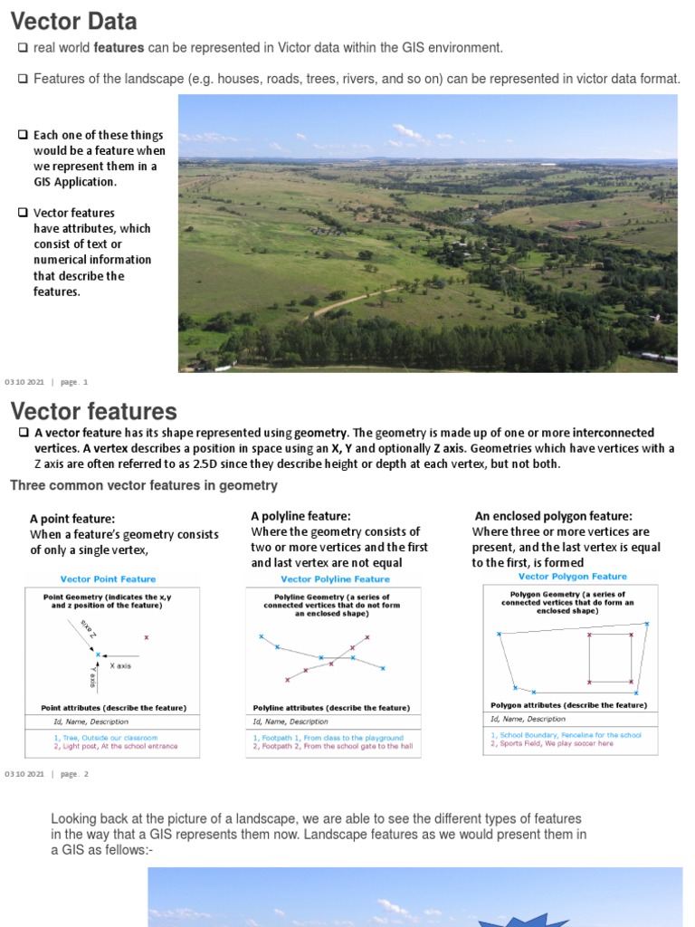 Vector Data | PDF | Geographic Information System | Vertex (Geometry)