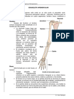 Esqueleto Apendicular