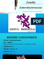 Shigella