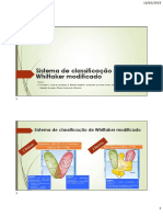 B8.2. Sistema de Classificação de Whittaker Modificado