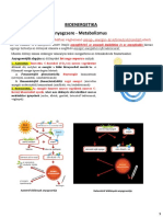 Metabolizmus (Anyagcsere) 22