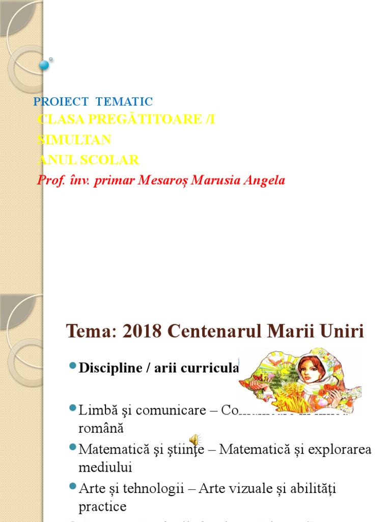 Proiect Tematic | PDF
