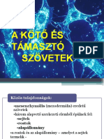 2 Kotoszovetek FOK I 2020