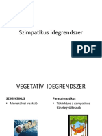 Szimpatikus Idegrendszer