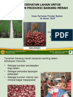 Bawang Merah Distan