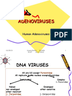 1 Adenoviruses