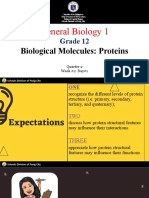 Bio1 Proteins