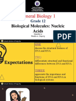 Nucleic Acids