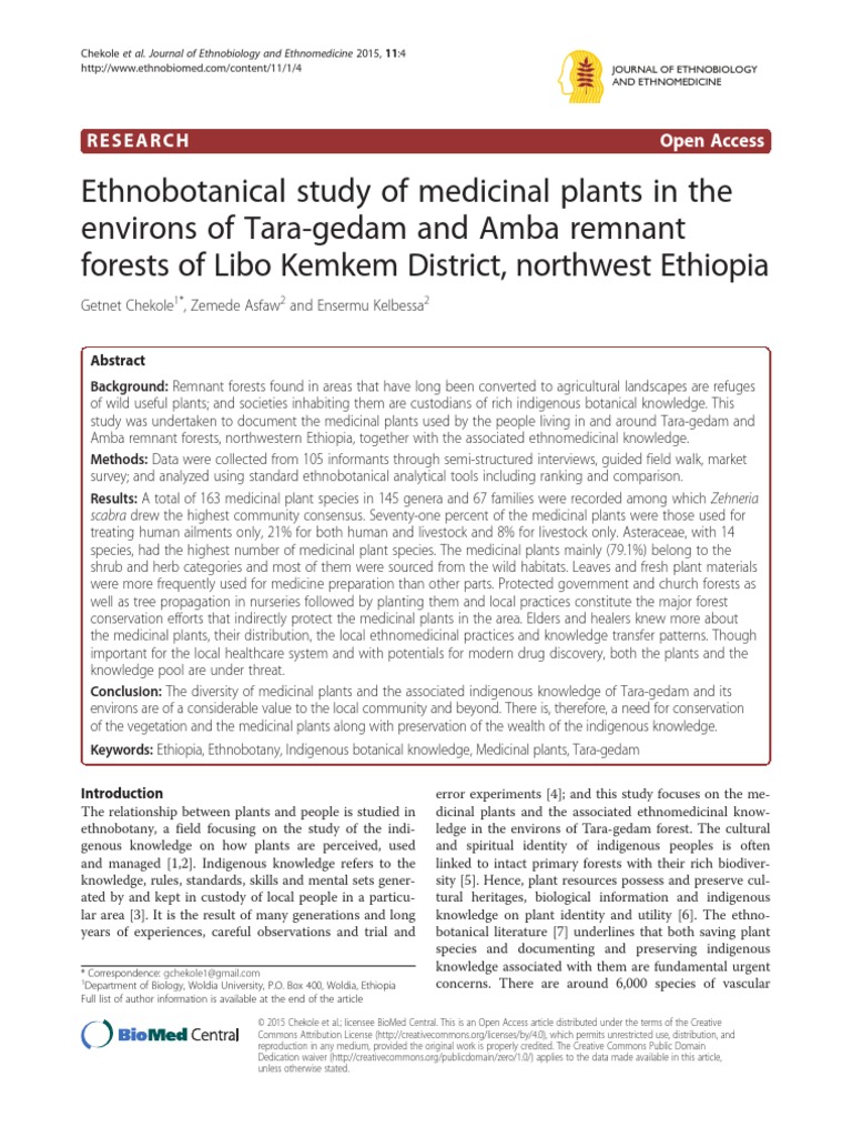 Ethnobotanical Study of Medicinal Plants - Ethiopia | PDF | Ethnobotany ...