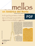 Camellos America Del Norte