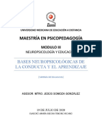 Actividad IV-Bases Neuropsicológicas de La Conducta y El Aprendizaje