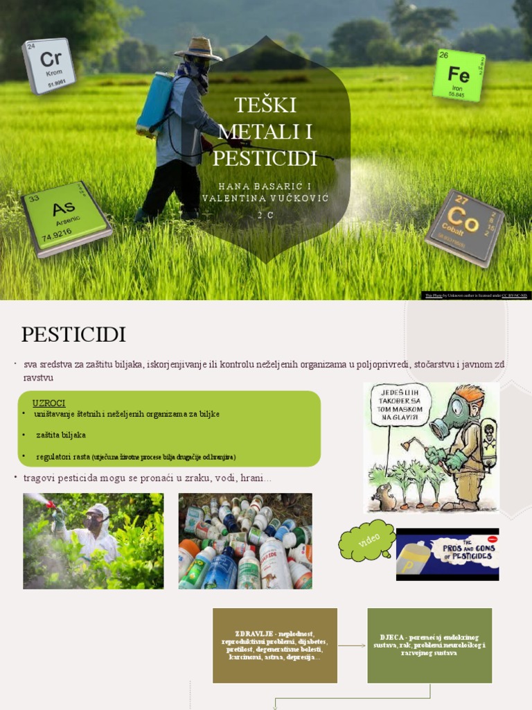Teški Metali I Pesticidi | PDF