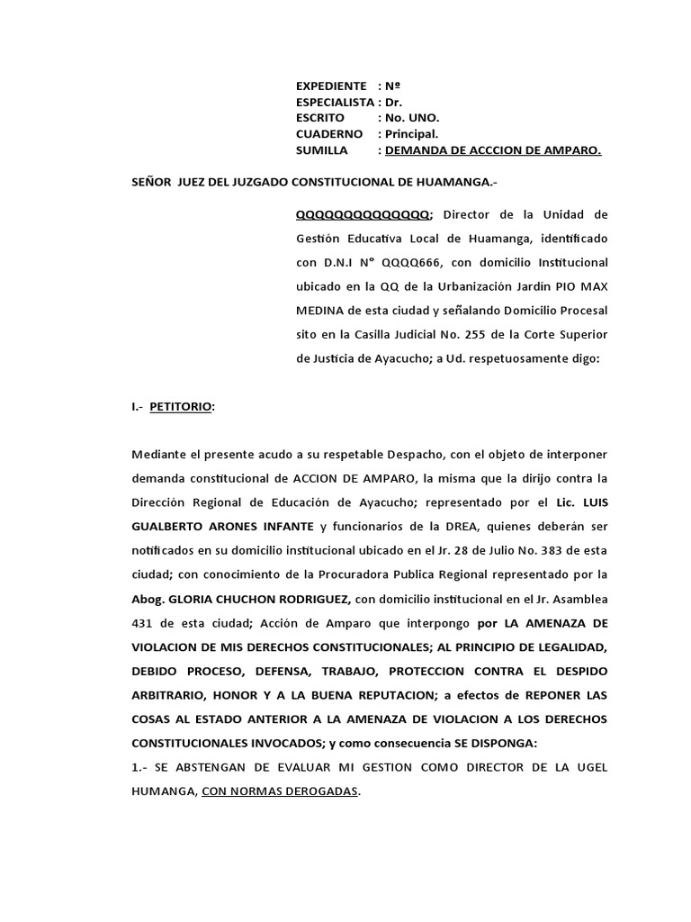 Demanda de Acción de Amparo en Educación | PDF | Demanda judicial | Ley ...