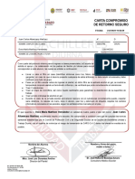 Carta Compromiso de Retorno Seguro