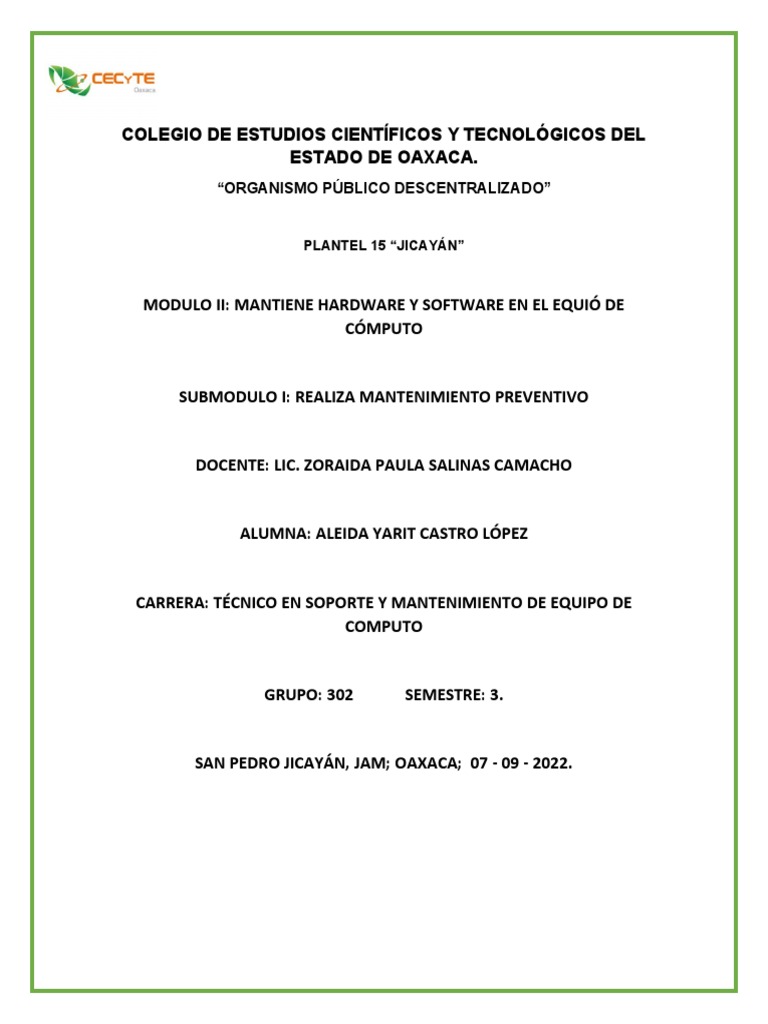 Fallas Comunes Del Software Pdf Virus De Computadora Hardware De