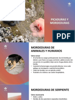 16-Picaduras y Mordeduras