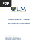 Ingenieria Ambiental - Tacuarembo
