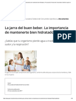 3.la Jarra Del Buen Beber. La Importancia de Mantenerte Bien Hidratado. - Procuraduría Federal Del Consumidor - Gobierno - Gob - MX