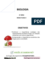 Fungos decompositores e relações ecológicas