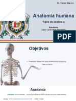 Tipos de Anatomía