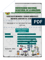 Informe de Laboratorio Virtual