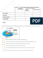 Actividad 5° Nat 21 de Feb