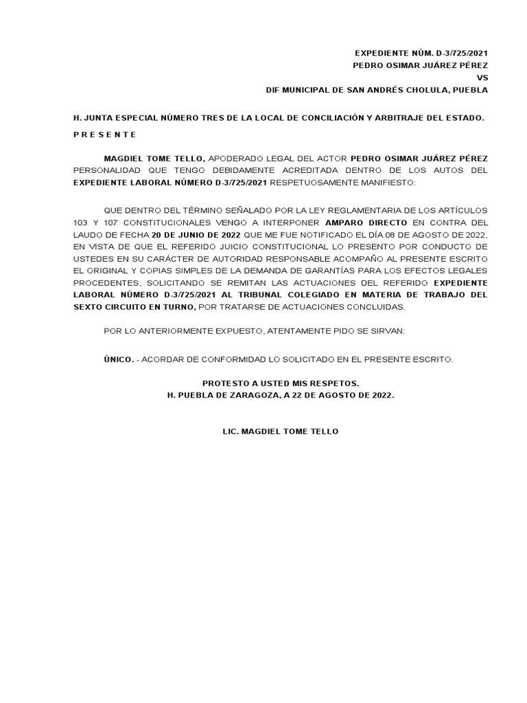 Procedimiento de Demanda en el DIF | PDF | Caso de ley | Demanda judicial