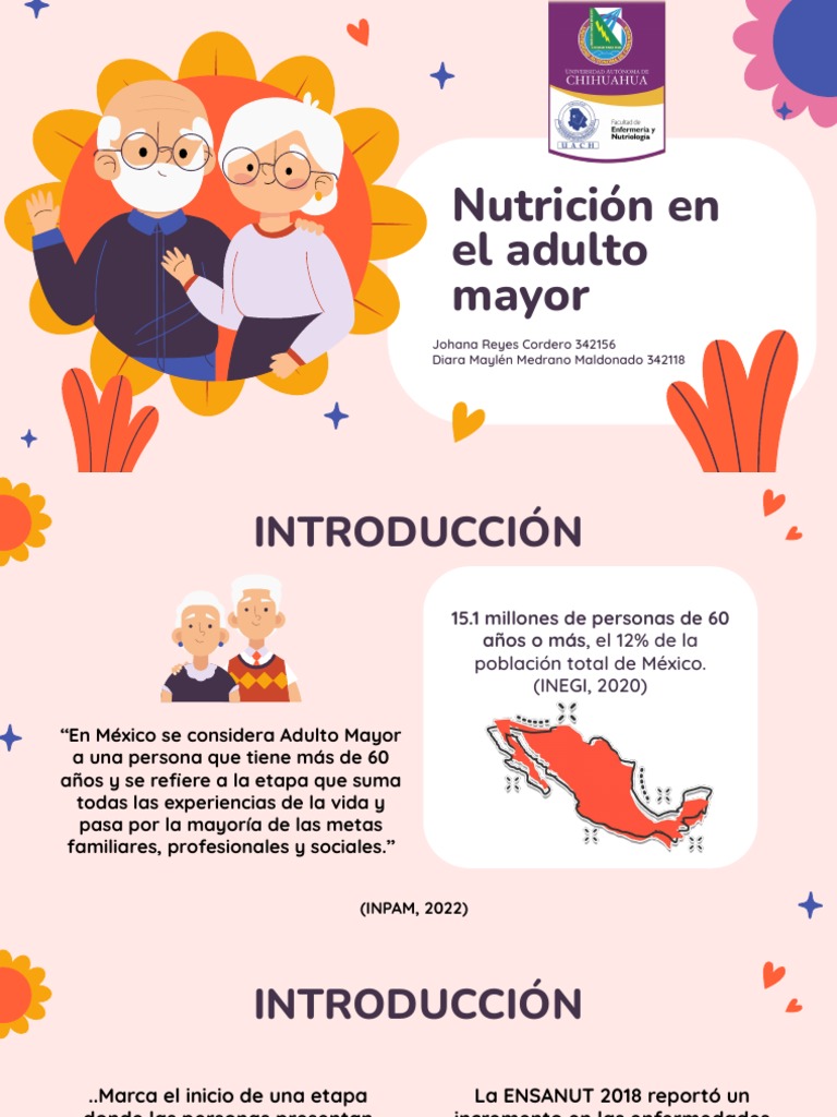 Nutrición en El Adulto Mayor | PDF | Dieta | Obesidad