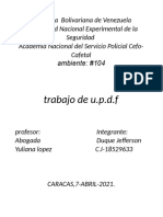 Trabajo de Updf Piramide Ciudadano y Oficial