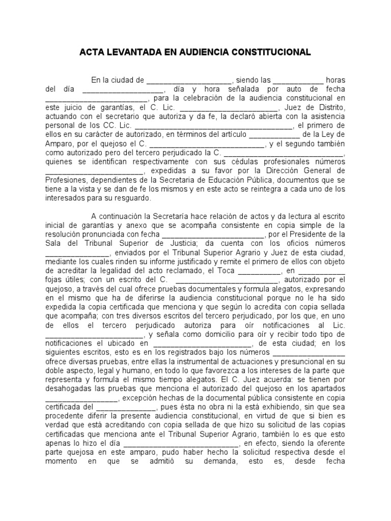 Acta de Audiencia Constitucional | PDF | Justicia | Crimen y violencia