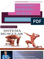 Sistema Muscular - Sem-5