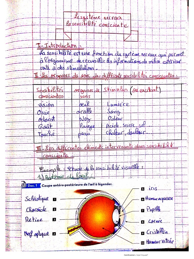 svt-fhjc-pdf