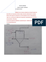 PRÁCTICA DIRIGIDA 1 Fenomenos