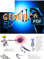 C - Sem6 - Bio - Clase Genética