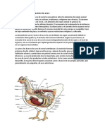 Productos aves corral consumo mundial