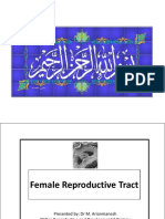 Female Reproductive Tract