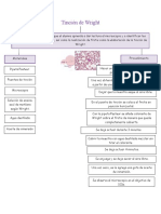 Diagrama de Wright