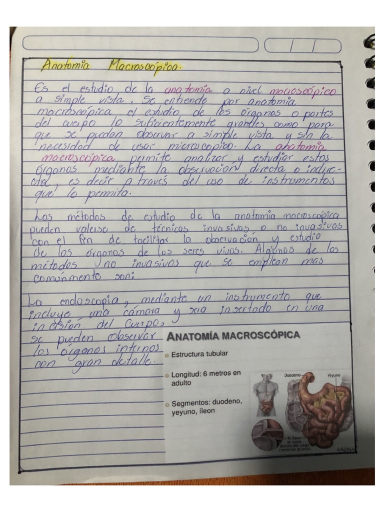 Anatomía Macroscópica y Anatomía Microscópica . | PDF