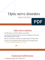Optic Disc Disorders