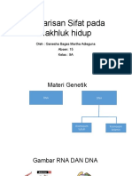 Tugas Persilangan Biologi