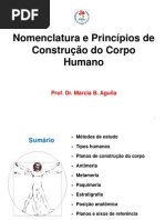 Planos de Construcao Do Corpo