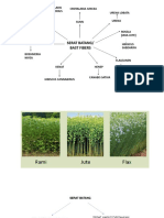 Serat Batang Dan Daun