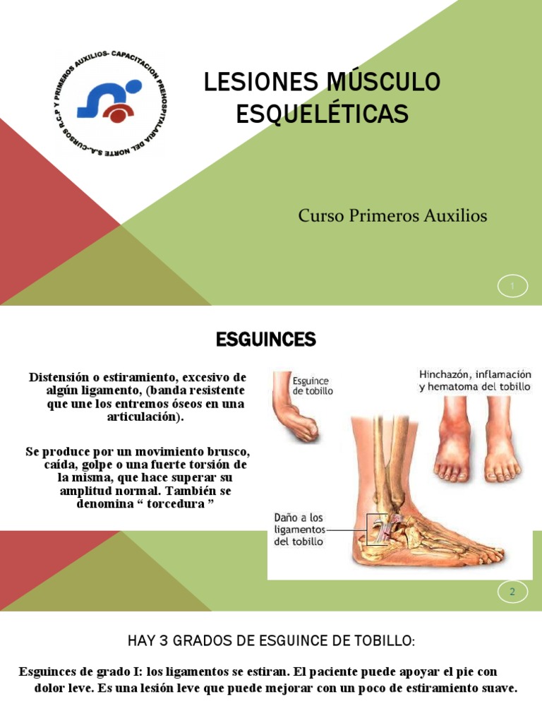 Tema 6 - Lesiones Músculo-Esquéleticas | PDF | Músculo | Sistema ...