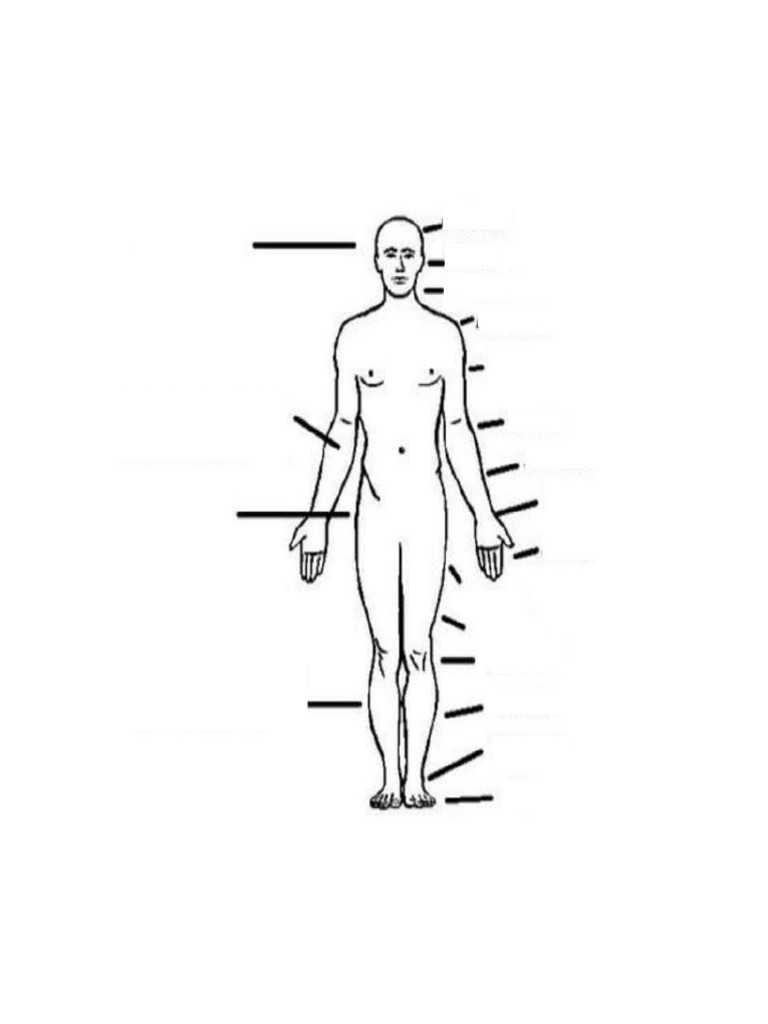 Locomotor pdf
