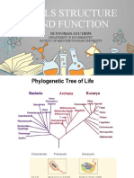 Cell Structure and Function